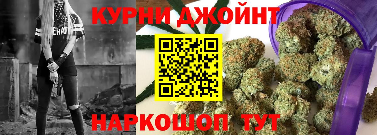 Бошки марихуана конопля Карачаевск